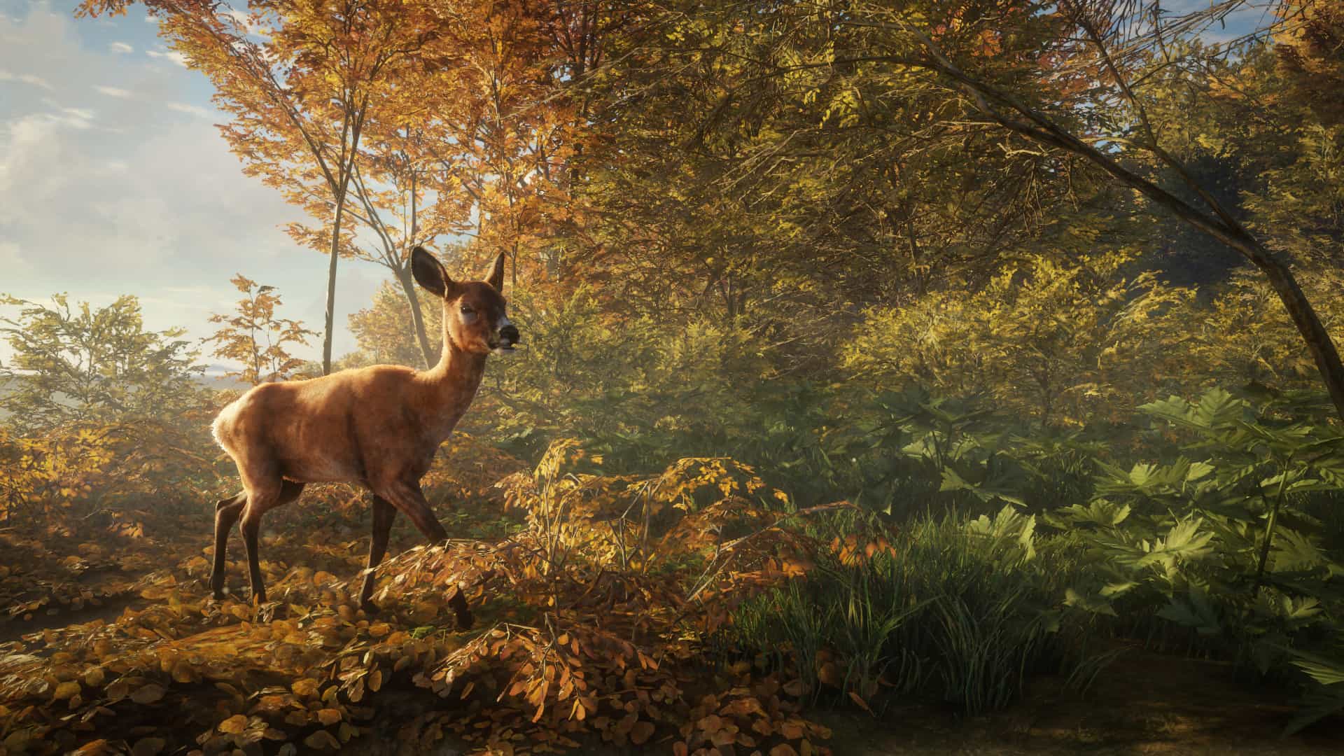 cheats for thehunter call of the wild